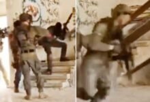 ایک چوہے نے بزدل اسرائیلی فوجیوں میں بھگدڑ مچادی(ویڈیو وائرل)