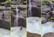 پونے: آبشار میں چھلانگ لگانے والا نوجوان ہلاک (ویڈیو)