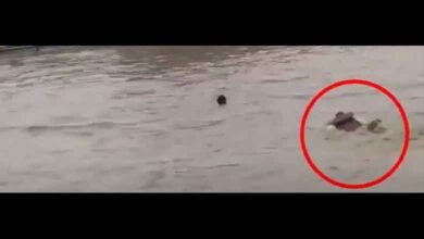 اتراکھنڈ میں مسلم ایس ڈی آر ایف ہیڈکانسٹبل نے 5 کانوڑیوں کو ڈوبنے سے بچایا