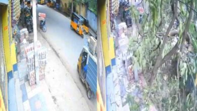 حیدرآباد: بڑا درخت کار وں پر گرپڑا: ویڈیو