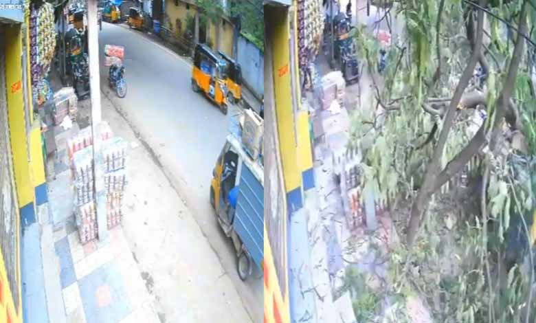 حیدرآباد: بڑا درخت کار وں پر گرپڑا: ویڈیو