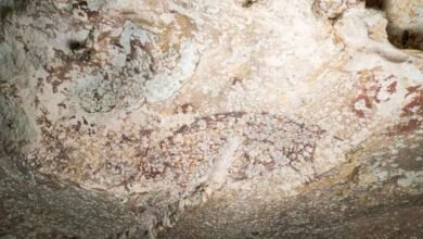 کم از کم 51 ہزار سال پرانی دنیا کی قدیم ترین تصویری کہانی انڈونیشین غار میں دریافت