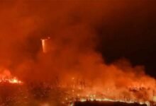 کیلیفورنیا کے جنگلات میں لگی آگ بے قابو، ہزاروں افراد کا انخلا