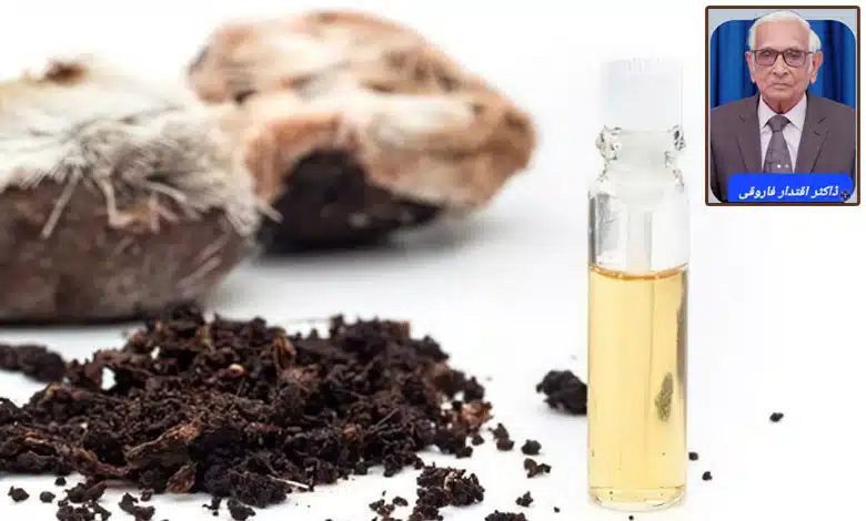 مشک بہترین خوشبو, قرآن۔حدیث اور سائنس کے حوالے سے: ڈاکٹر محمد اقتدار حسین فاروقی