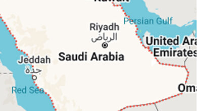 سعودی عرب پانی، آبپاشی کی تکنیکوں اور پائیدار ترقی کے میدان میں ایک اہم ملک