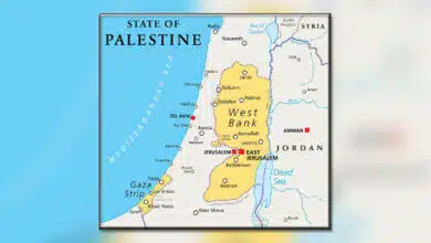 فلسطین اقوام متحدہ کی سلامتی کونسل سے غزہ میں جنگ بندی کی قرارداد منظور کرنے کا مطالبہ جاری رکھے گا