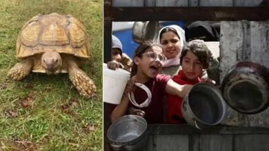 خوراک کیلئے ترستی فلسطینی خاتون بچوں کو کھچوے پکا کر کھلانے پر مجبور