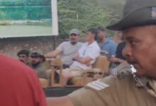 Rahul Gandhi Ranthambore visit: راہول گاندھی کا دورہ رنتھمبور۔ مشہور شیرنی اور بچوں کا نظارہ