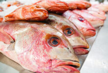 مندر کے قریب مچھلی فروخت کرنے پر تنازعہCR Park fish sellers
