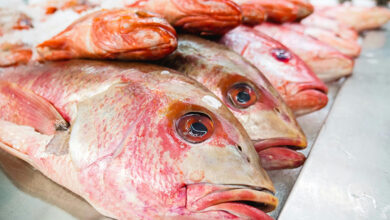 مندر کے قریب مچھلی فروخت کرنے پر تنازعہCR Park fish sellers