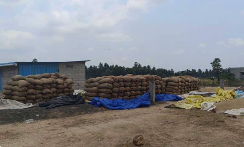 تلنگانہ کے نظام آباد میں دھان کی خریداری میں تاخیر، کسانوں کو شدید مشکلات