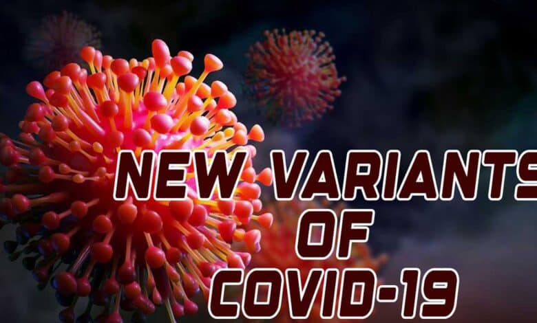 ملک میں کورونا انفیکشن سے مزید 5 مریضوں کی موت، فعال کیسز کی تعداد 4026