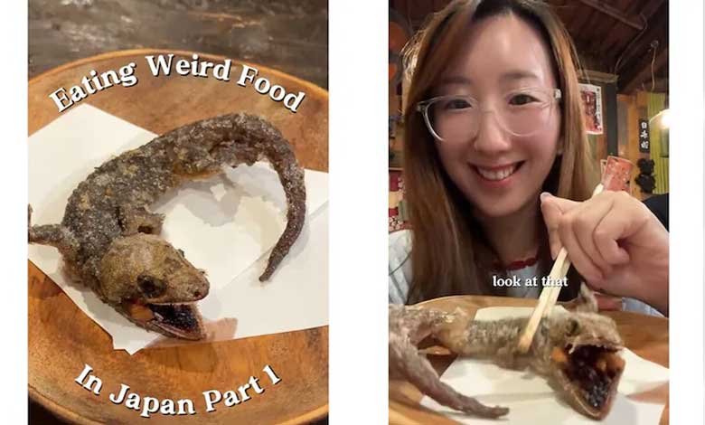 چھپکلی کا پکوڑا، کسی کو کراہت آئی، کسی کو الٹی (ویڈیو)