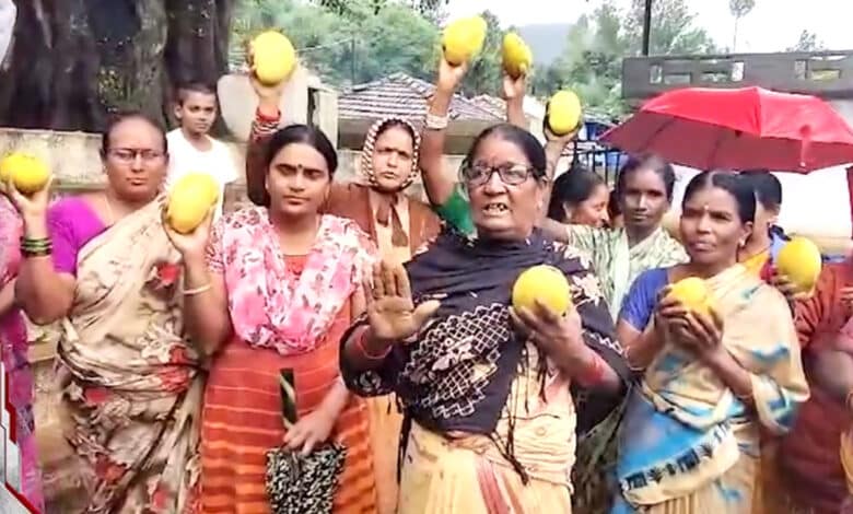 آندھرا پردیش کے نائب وزیر اعلیٰ پون کلیان کی قبائلی عوام سے خصوصی محبت، آموں کا انوکھا تحفہ