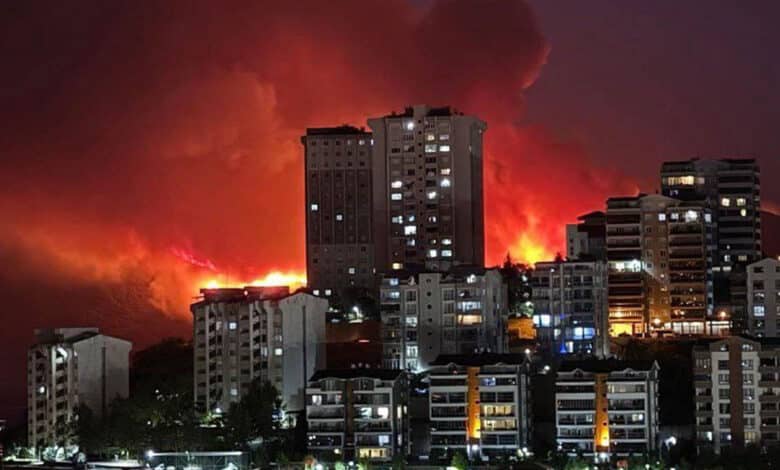 ترکی میں بڑے پیمانے پر جنگل میں آگ، لوگ انخلا پر مجبور