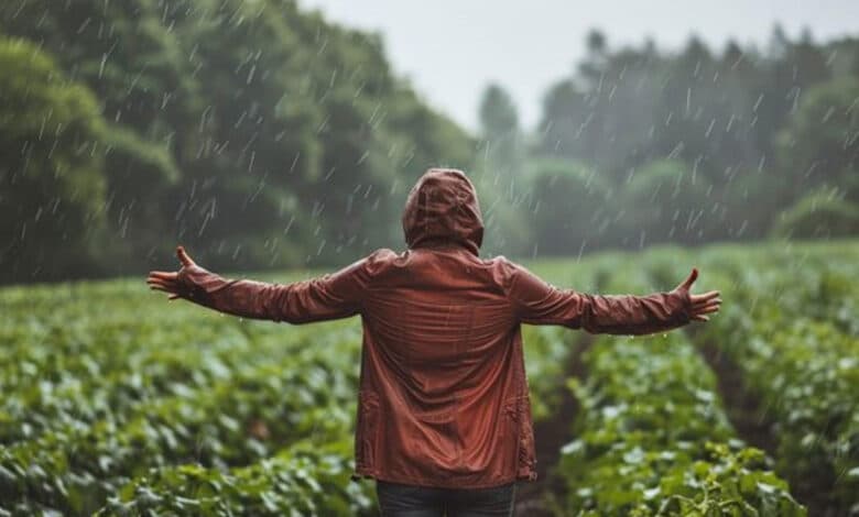 تلنگانہ کے کئی اضلاع میں بارش۔کسانوں میں خوشی کی لہر