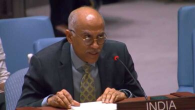 غزہ میں فوری اور مکمل جنگ بندی کی اپیل۔ سلامتی کونسل میں ہندوستانی سفیر کا بیان