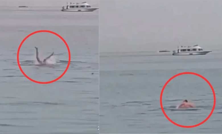 شارک نے انسان کو زندہ چبا ڈالا۔ دل دہلا دینے والی ویڈیو