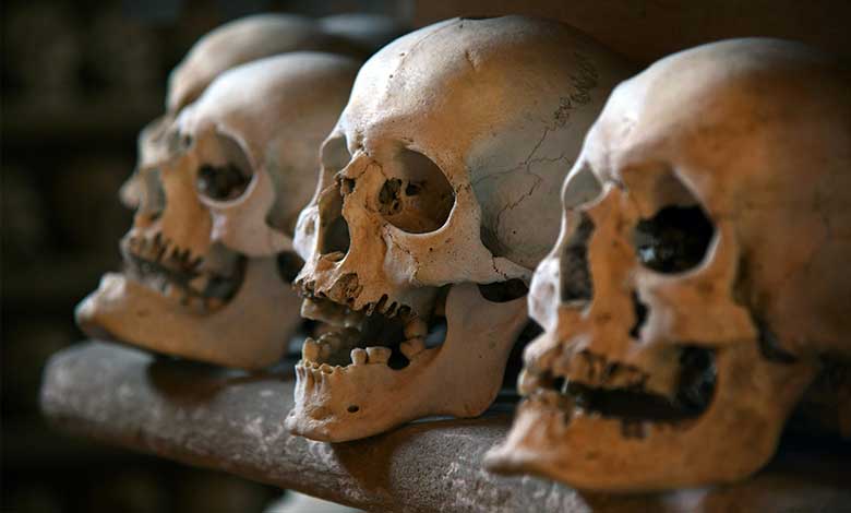 کیا قدیم انسان اپنے ہی بچوں کو کھاتے تھے؟ 8.5 لاکھ سال پرانی دل دہلا دینے والی دریافت