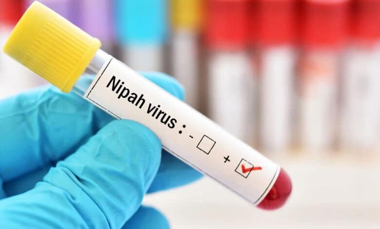 کیرالا میں نیپا وائرس سے متعلق 674 معاملے سامنے آئے