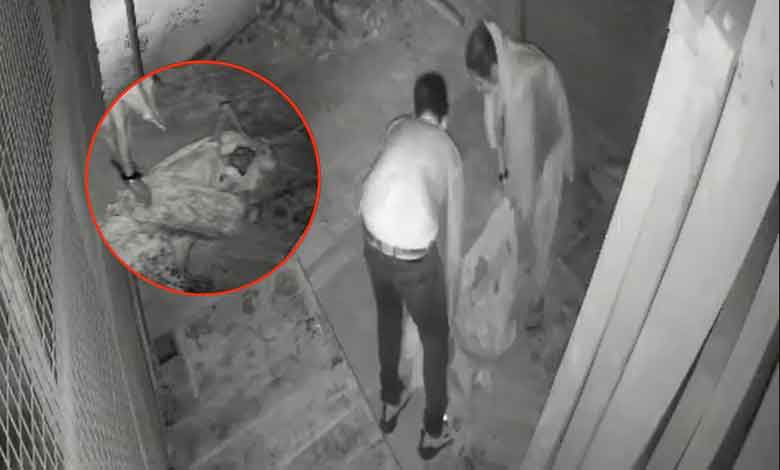 بے رحم اولاد نے ضعیف ماں کو کچرے کی طرح سڑک پر پھینک دیا۔ خاتون نے دم توڑ دیا۔ دل دہلادینے والی ویڈیو