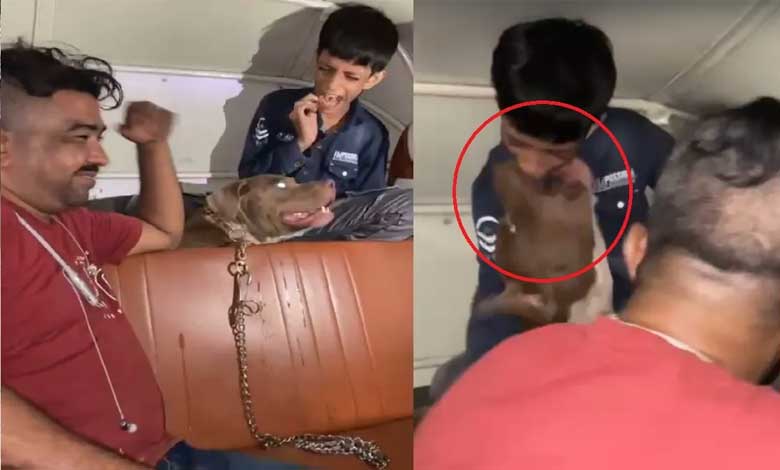 معصوم پر کتے کا حملہ، مالک تماشہ دیکھ کر ہنستا رہا