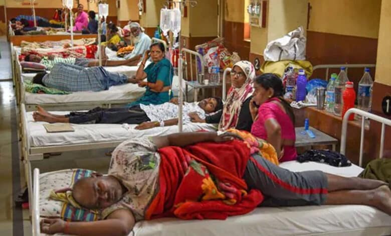 تلنگانہ میں ڈینگی کے معاملات میں تیزی سے اضافہ