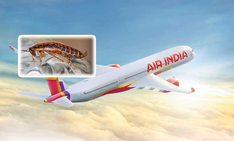 ایرانڈیا کی سانفرانسسکو۔ ممبئی پرواز میں جھینگر!