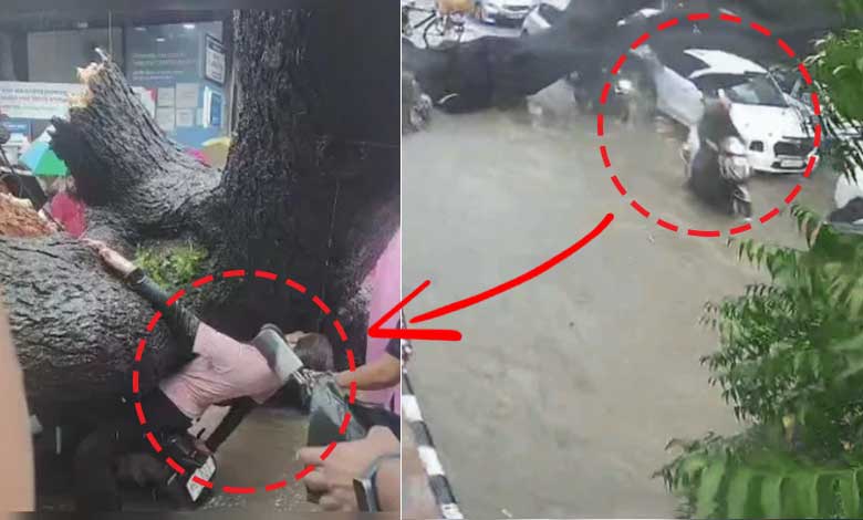 دہلی میں المناک حادثہ، بارش کے دوران بائیک پر گرا نیم کا درخت، باپ بیٹی شدید زخمی