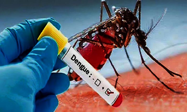 ڈینگی سے بچاؤ کی ویکسین تیار  ایمس ہاسپٹل نے اہم کردارکیا