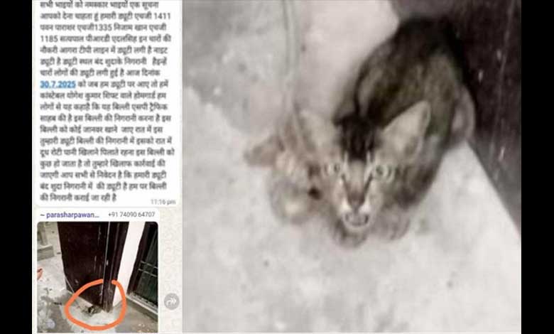 بلی کی حفاظت کیلئے 4 ہوم گارڈس کی تعیناتی۔ پولیس نے دی وضاحت