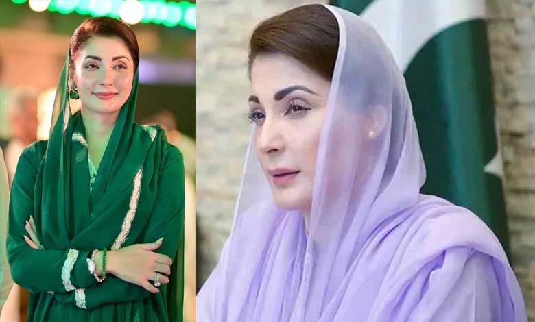 مریم نواز کے پوسٹر کو بوسہ دینے کی ویڈیو وائرل