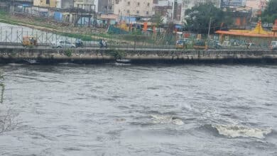 حیدرآباد: موسی ندی کے پانی میں اژدھے کی موجودگی سے سنسنی