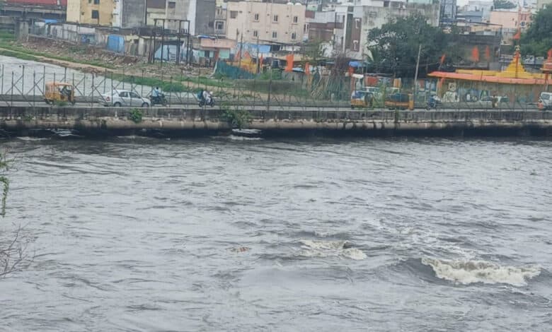 حیدرآباد: موسی ندی کے پانی میں اژدھے کی موجودگی سے سنسنی