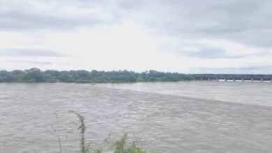 دریائے گوداوری کے پروجیکٹوں کو شدید سیلابی دباؤ کا سامنا