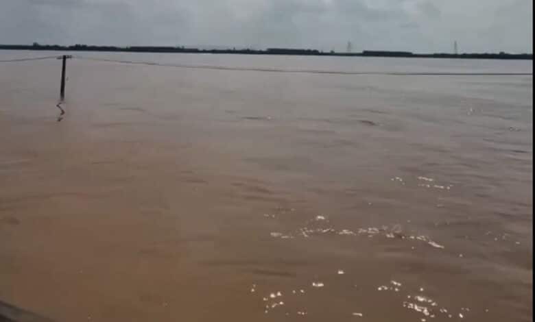 تلنگانہ: کنڈاپوچماں ساگر میں دریائے گوداوری کے پانی کی منتقلی کا آغاز