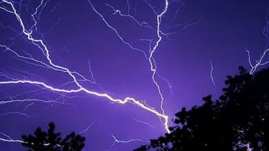 تلنگانہ میں بارش۔بجلی گرنے سے 9افراد ہلاک