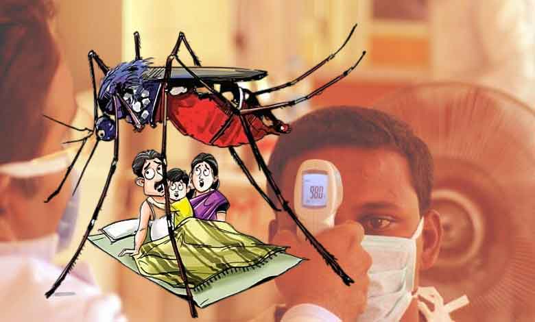 "حیدرآباد میں موسمی بخار کا قہر، شہریوں میں تشویش کی لہر