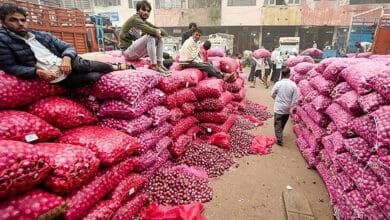 تلنگانہ: پیاز کی قیمتوں میں شدیدکمی، کسان فصل کو کھیتوں میں سڑتے ہوئے دیکھنے پر مجبور