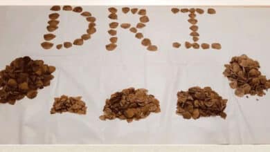 تلنگانہ: 6.53 کلوگرام پینگولین کی کھال کی حفاظت کرنے والی پرت ضبط۔دو ملزمین گرفتار