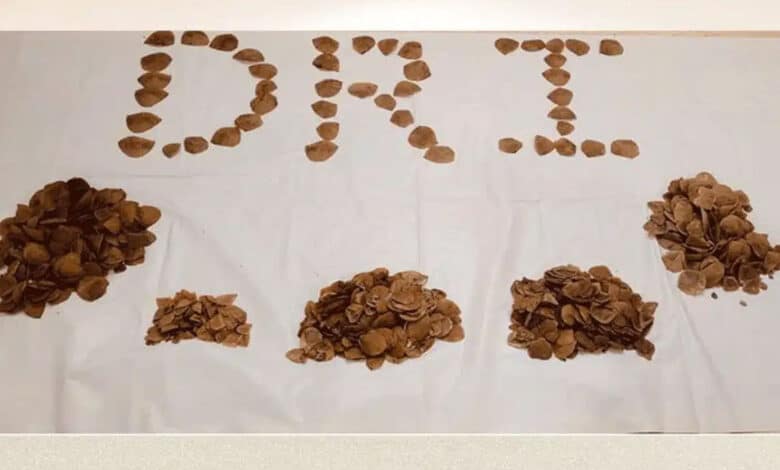 تلنگانہ: 6.53 کلوگرام پینگولین کی کھال کی حفاظت کرنے والی پرت ضبط۔دو ملزمین گرفتار