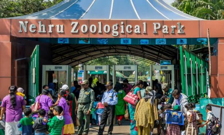 حیدرآباد کے نہروزوالوجیکل پارک میں تین زیبرا کو ان کے پنجرے میں چھوڑاگیا