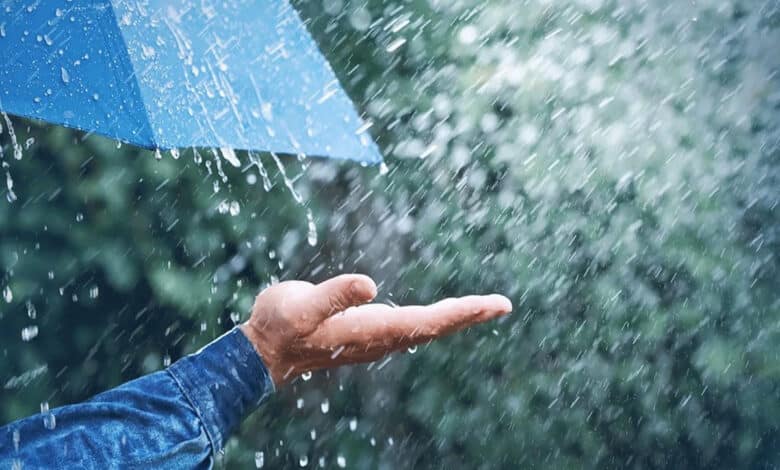 تلنگانہ: شدید بارش کے سبب نرمل ضلع کے تالاب کے پشتہ میں شگاف