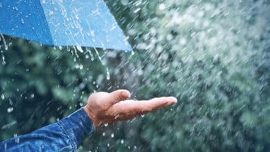 اے پی کے مختلف اضلاع میں بارش