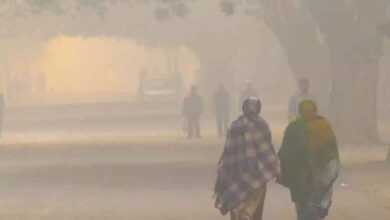 اے پی کے الوری ضلع کے پاڈیرو ایجنسی علاقہ میں شدید کہر