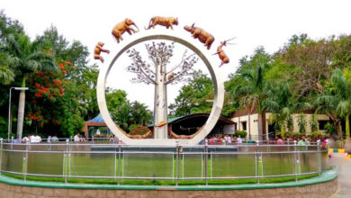 حیدرآباد کے نہروزوالوجیکل پارک میں جانوروں کو سردی سے بچانے خصوصی انتظامات