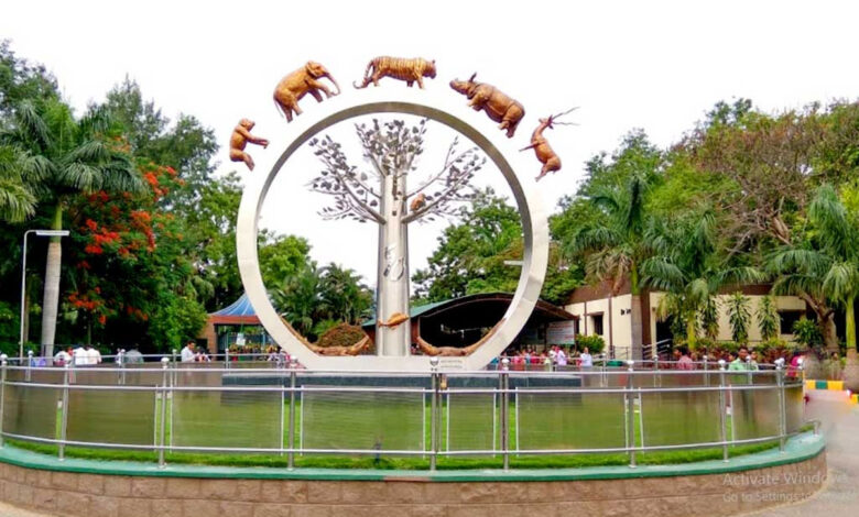 حیدرآباد کے نہروزوالوجیکل پارک میں جانوروں کو سردی سے بچانے خصوصی انتظامات