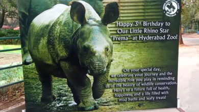 حیدرآباد کے نہرو زولوجیکل پارک میں گینڈے کی سالگرہ بڑے شاندار طریقہ سے منائی گئی