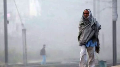 اے پی کے پاڈیرو میں درجہ حرارت 5 ڈگری تک گر گیا