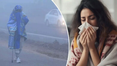 درجہ حرارت میں کمی سے موسمی فلو کا خدشہ، عوام کو محتاط رہنے کا مشورہ ۔ ہیلت ایڈوائزری جاری